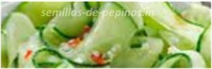 pepinos en ensalada